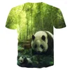 T-shirt da uomo 2024 Moda Animale Tees Moda Estate Uomo/Donna T-shirt Stampa 3d Progettato Cute Panda Camicia Bambini Top