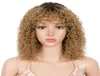 Styleicon Krullend Menselijk Haar Pruiken Voor Vrouwen Korte Afro Kinky Krullend Pixie Cut Pruik Remy Ombre Blonde Pruiken Met Pony3296387