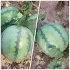 Party Decoration Decorate Simulated Watermelon Child Toy Kitchen Pography Foam Decorative