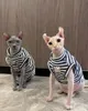 Kat Kostuums Huisdier Zomer Mouwloos Vest Homewear Kleding Sphinx Devon Rex Korte benen Kleding Voor Sphynx Haarloze