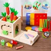 Montessori giocattolo in legno include ordinamento dei colori tirare carote pesca catturare insetti giochi abilità motorie 240202