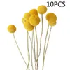 Decorative Flowers 10pcs Natural Dried Flower Golden Balls Bouquets Billy Button Dekoration Yellow Romantic Floral Wedding Home Decoration