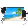 Party Decoration Lightweight Portable Wall Shooting Background Cloth Beach Coconut Tree Theme Pography