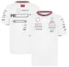 2024 NEW F1 RACING POLO SHIRTS SUMMER SUMPLE TEAM'S TEAM TESHERS نفس التخصيص