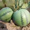 Party Decoration Decorate Simulated Watermelon Child Toy Kitchen Pography Foam Decorative