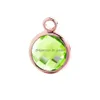 Charms New Fashion Piccoli pendenti in vetro con strass Fascino per collana braccialetto 12 Colorf Birthstone Creazione di gioielli fai da te Drop De Dhgarden Dhjfe