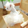 Vêtements pour chiens Collier pour animaux de compagnie Vêtements pour chats La jupe en tulle Robe en dentelle Robe de mariée Starlight