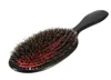 Boar Boar Bristle Nylon Hair Comb Mini Abs Handle Hair Hair Scal Scal Cox Combs Hair -Hairbrush Salon Tool6170685