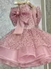 Robes de fille de fleur rose à paillettes et cristaux à col transparent, robes de mariée pour petite fille, robes de concours de première communion, robes à gros nœud, robe de princesse pour bébé