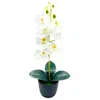 Dekoratif Çiçekler Büyüleyici Çevre Dostu Enfes Plastik Güzelleştirici Pencere Simülasyonu Bonsai Sahte Phalaenopsis Doğal görünümlü