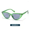 Солнцезащитные очки для взрослых в европейском и американском стиле Wind Trend Street Po ярких цветов Cat Eye Ins Личность
