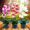 Dekoratif Çiçekler Büyüleyici Çevre Dostu Enfes Plastik Güzelleştirici Pencere Simülasyonu Bonsai Sahte Phalaenopsis Doğal görünümlü