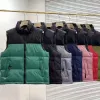 Gilet da uomo Gilet di cotone Disegni Gilet da donna senza maniche Giacca nord Piumino Autunno Inverno Cappotti casual Gilet per coppie Mantieni il cappotto caldo