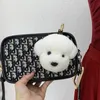 Femmes réel fourrure porte-clés mignon laine petit chien blanc jouet doux Pom porte-clés sac porte-clés voiture métal bibelot cadeau pendentif 240227