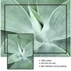 ANGEL Muur Canvas Schilderij Muur Foto Voor Woonkamer Decor Groene Plant Abstracte Lijnen Vintage Poster Nordic Posters 240129