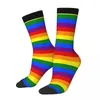 Chaussettes pour hommes Rainbow Pride Flag Mâle Hommes Femmes Automne Bas Harajuku