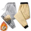 Winter-Wollhose, dicke warme Hotpants, Herren-Fitness-Hausschuhe, Jogginghose, Fitnessstudio, Laufen, Fitness, Beine 240217