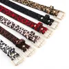 Belts Women's Fashion Light Luxury Belt Leopard Pattern Horse Mane Rose Gold Metal Buckle Pu Style