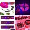 Cultivez des lumières 5M 300Leds LED FL Spectrum Phyto Lampe 12V Bande lumineuse étanche SMD Plante Fleur Serre Ctivo Hydroponic Drop Delive Dhpud