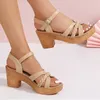 Rimocy Roman Weaving Thick Heel Sandals Women Ankle Strap Chunky Platform Sandaler Kvinna Summer Buckle Gladiator Sandalias Mujer 240129