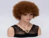 MSIWIGS Womens Short Kinkly Curly Afro Wigs Dark Brown Hair Hair Wig America African Cosplay wigs5622498