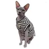 Kat Kostuums Huisdier Zomer Mouwloos Vest Homewear Kleding Sphinx Devon Rex Korte benen Kleding Voor Sphynx Haarloze