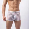 Sous-vêtements en maille pour hommes, sous-vêtements Ultra-minces, Boxer Transparent, culotte rayée, Sexy, poche bombée, respirante, Cuecas pour hommes