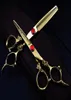 Tesoura de cabelo Japão 6 polegadas Conjunto de cabeleireiro profissional Corte desbaste Barbeiro Tesouras Kit Salon Tools4766022