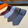 High Quality Luxury Ties Mens Designer Necktie Handmade Knitted Silks Tie Business Cravat Neck Brand Box Gift