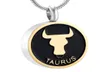 IJD9968 Aço Inoxidável A Série de Aniversário Taurus Constellation sign Memorial Colar para Cinzas Urna Pulseira Lembrança Colar J3843666