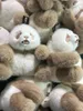 Panda Doll Plush Doll Souner