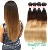 Blonde Brazilian Virgin Straight Hair Bundles Ombre Human Hair Extensions 1B27 1B30 1B99J 1B427 Hair Products7698593