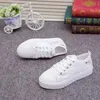 Women Shoes Fashion Summer Casual White Shoes Cutouts Lace Canvas Hollow Breathable Platform Flat Shoes Woman Sneakers 240126