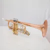 Sıcak satmak Yüksek kaliteli pirinç tüp c ton küçük trompet ayarlanabilir çift boynuz altın kaplama yüzey profesyonel müzik aletleri