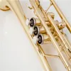 Trompeta Il belin de latón dorado de alta calidad con estuche y boquilla, instrumentos musicales 00