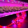 LED -ljus för växter tillväxt, 3 rött: 1 blå SMD2835 LED USB 5V Full Spectrum LED -remsljus för odling, växter akvarium växthusblommor veg sådd