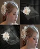 Klassisk fågelbur Face Wedding Veils Mesh korta brudslöjor Net ansikte täckt slöja med Comb5138916