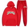 Backwoods sweat à sweat de qualité supérieure Polo rose Polo Sweatshirts Sweats Sweats à sweat à sweat à sweat Hip Hop Sweat Sweat à l'automne et à l'hiver