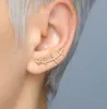 Extremely personalized scar shape 3d earrings 925 sterling silver male and female earrings ear clips asymmetric earrings8113652