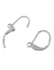 200pcs Stainless Steel Lever Back Earring Component for DIY jewelry finding Stainless Steel Color size 10X132mm3905257