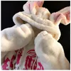 Mignon lapin grande oreille laine d'agneau pull broderie sweats à capuche femmes coréen épaissi laine zippé sweats à capuche Kawaii Goth Y2k vêtements 240201