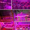 Lumière LED pour la croissance des plantes, 3 rouges: 1 SMD2835 Blue LED USB 5V Spectre complet LED LED LED pour la culture, plantes Aquarium Greenhouse Flowers Veg Seemding