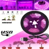 Czerwona roślina Rosną lekką LED paski, USB 5V Pełny spektrum LED LED LED do uprawy, 0,5 m 1 m 2M 3M dla roślin Kwiaty szklarniowe wegetowe siewniki