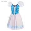 Scene Wear Blue Professional Romantic Tutu med Hook Back och 2 rader med ögon Girls Ballerina Dress Theather Costum elfenben Puffy Tutus