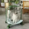 Pet Cat Dog Trolley resväska Bagage med hjul som bär transparent andningsbar ryggsäckvagn 240131