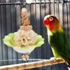 Inne zaopatrzenie ptaków Parrot Grass Ball Toy Cage Akcesoria wiszące zabawki Zabilanie równowagi papugi żucie