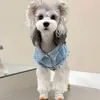 犬アパレルペット服夏ファッション小さな新鮮なデニムベスト猫毛のないノースリーブコート