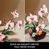 كتل Orchid Flowers Building Kit Creative Botanical Collection Decor Build Build Build