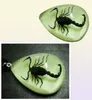 Yqtdmy 12 pièces pendentif scorpion insecte mode style lumineux petite décoration article59417539776648