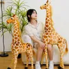 Énorme vraie vie girafe en peluche jouets mignons poupées d'animaux en peluche modèle de simulation douce de haute qualité cadeau d'anniversaire enfants chambre décor 240202